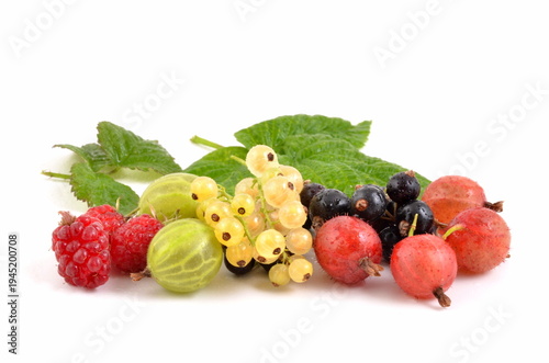 Berries. Sweet black and red currants with leaves, and red gooseberries and raspberries on white backgrounds.