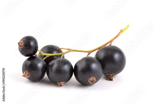 Sweet black currants isolated on white backgrounds.