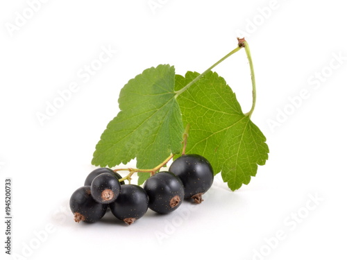 Sweet black currants with leaves on white backgrounds.