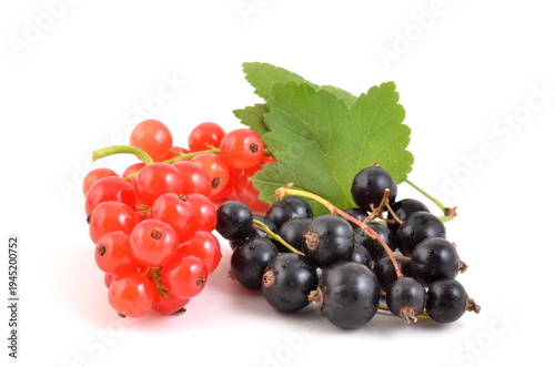 Sweet black and red currants with leaves on white backgrounds.
