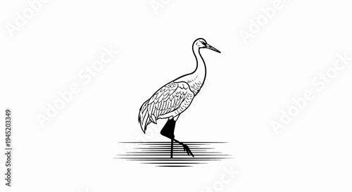 Black and white drawing of a crane standing in water