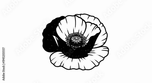 Bold black and white line drawing of a delicate poppy bloom with detailed center