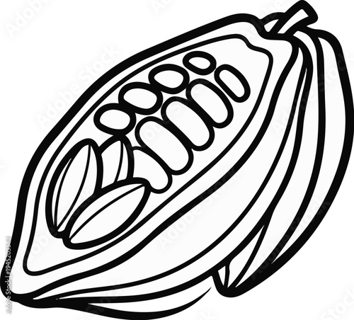 Black and white illustration of a cut cocoa pod with beans inside