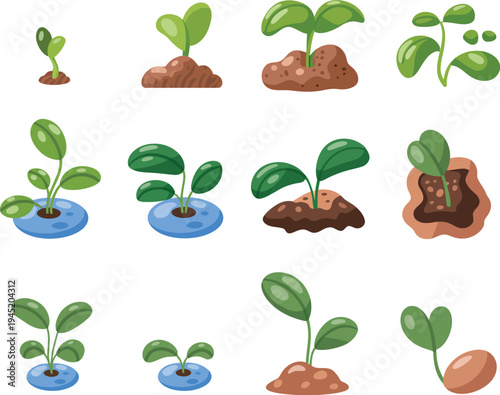 Plant growth stages illustration showing eight cartoon steps from sprout to mature leafy plant in clean grid layout