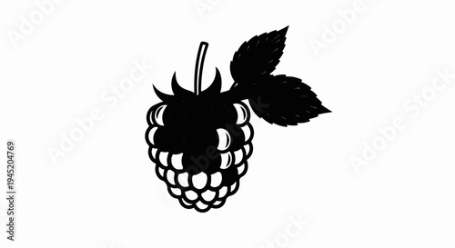 Black and white illustration of a ripe raspberry with two leaves