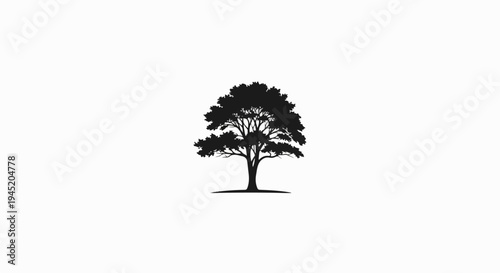 A solitary black silhouette of a pine tree stands against a white backdrop