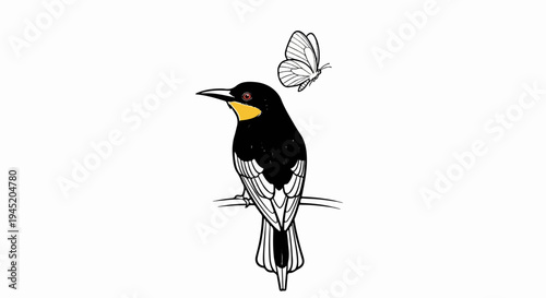 Black bird with yellow throat and red eye perched on branch with butterfly