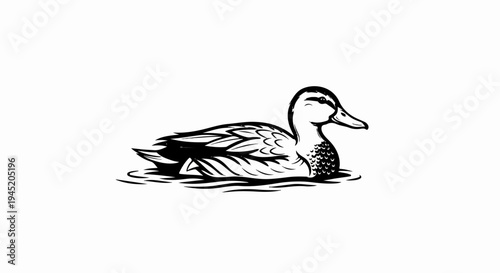 A stylized black and white illustration of a duck swimming peacefully on the water
