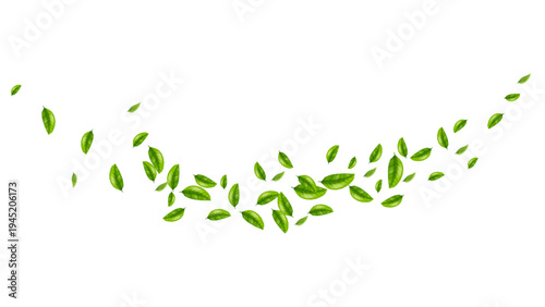 green leaf flying vector background