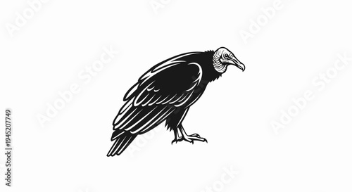 Black silhouette of a scavenger bird with detailed feathers and head