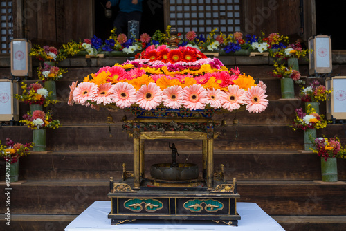 三井寺の花まつり