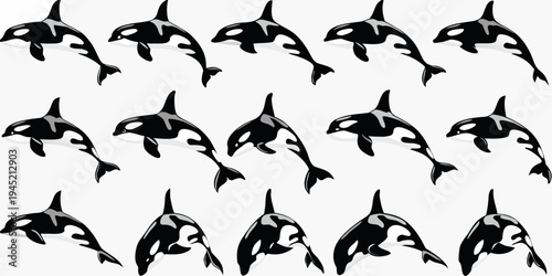 A collection of black orca whales in various swimming poses