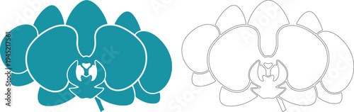Minimal teal orchid flower in silhouette and outline on white background