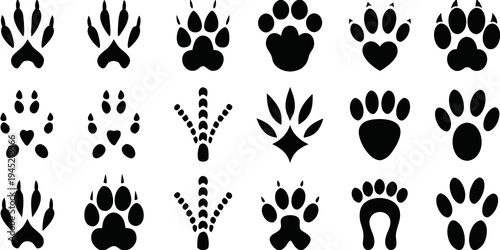 Collection of diverse animal footprints and paw prints on a white background