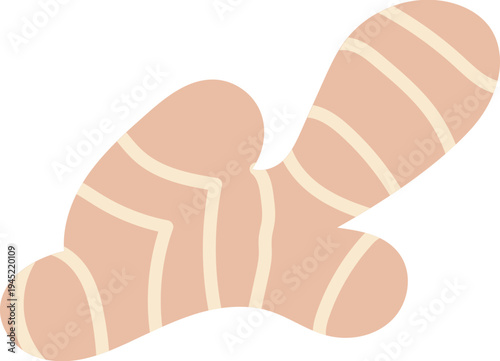 Isolated Ginger Root Illustration
