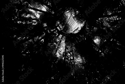Slika na platnu Decorative arch entwined with tropical plants black and white stock photo