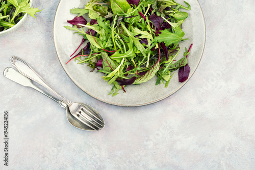 Healthy fresh salad mix of leafy greens.