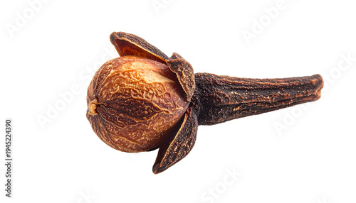Close-up of a single dried clove spice, showing the bulb and the stem, isolated on black