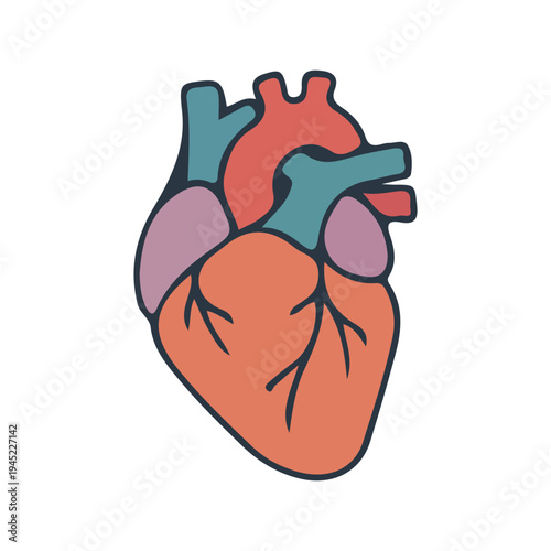 Stylized Human Heart Icon