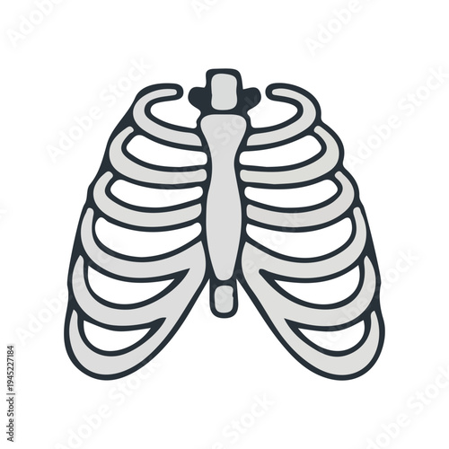 Rib Cage Illustration Icon