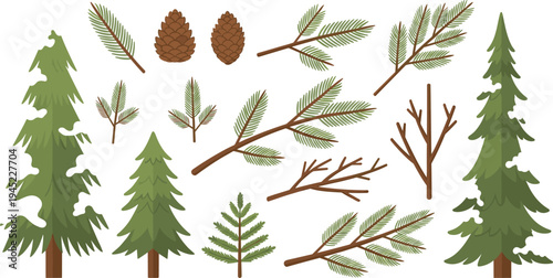 Vector collection of evergreen coniferous trees pine branches and fir cones featuring various spruce elements and woody twigs isolated on white background.