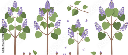 Beautiful lilac flower vector set featuring purple blossom clusters green leaves and blooming branches for floral design projects isolated on a white background.v
