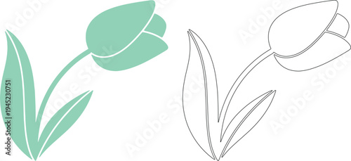 Silhouette of tulip plants in mint green and black lines