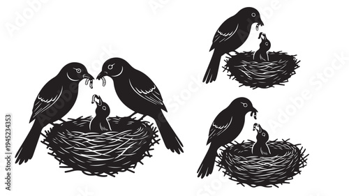 Set of 4 black bird and nest illustrations vector