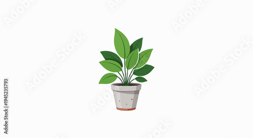 Green leafy plant in a pot with a textured surface