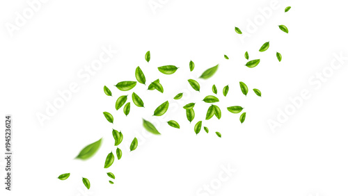 green leaf flying vector background