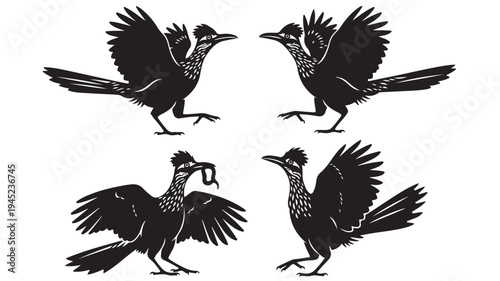Set of 4 black roadrunner icons vector