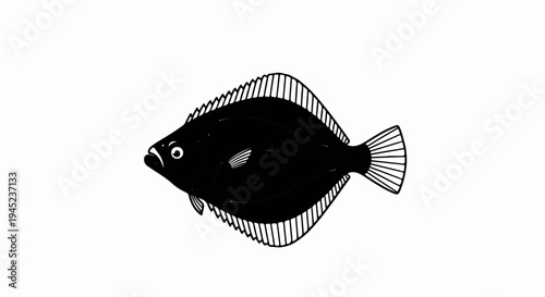 Flatfish illustration with dark body, white fins, and sharp lines