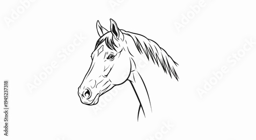Detailed sketch of a horse's head and neck in black and white