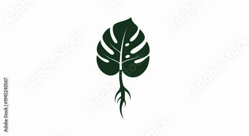 Minimalist monstera leaf with exposed roots, a dark green silhouette