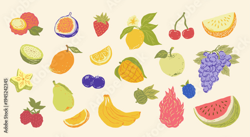 Minimalist flat fruits vector illustration. Natural tropical fruits. Hand drawn dragon fruit, pineapple, citrus, banana, fig, apple, grape, lemon, strawberry, watermelon, gooseberry, melon,tangerine. 