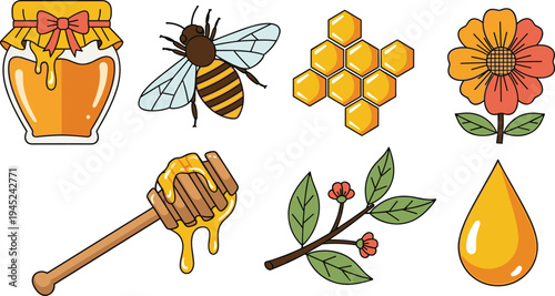Honey and Beekeeping Vector Set with Honey Jar Bee Honeycomb Flower Dipper Branch and Golden Honey Drop Illustration