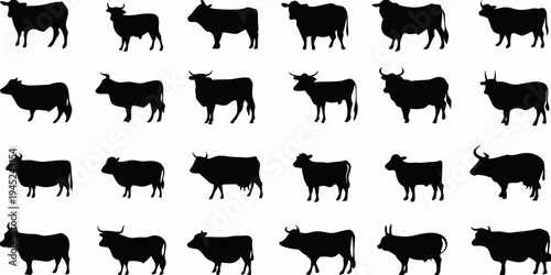 Silhouettes of various cattle breeds against a white background