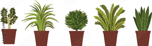 Vector illustration of five decorative indoor potted plants with diverse foliage styles and unique leaf patterns, symbolizing gardening, botanical artwork, home decor, and nature-inspired design