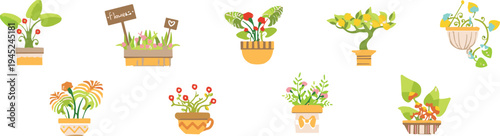 Vector illustration of nine decorative potted plants with colorful foliage, flowers, and playful designs, symbolizing gardening, botanical artwork, home  floral decoration, and 