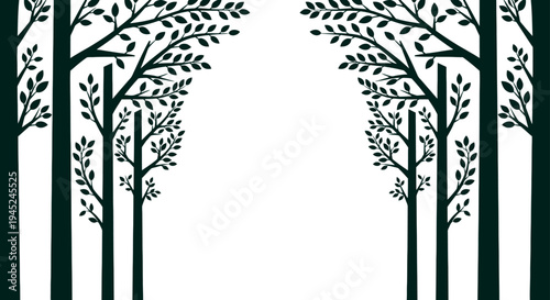 Dark forest tree silhouettes leaning inwards to frame empty white copy space for mysterious woodland designs