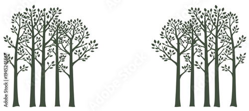 Dark green forest tree silhouettes creating a natural border with central copy space for woodland themes