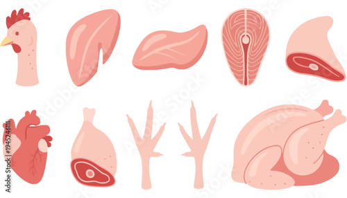 Chicken various cuts of meat illustration with heart and legs