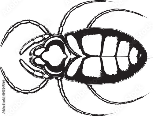 Detailed illustration of a stylized cockroach with segmented body and legs