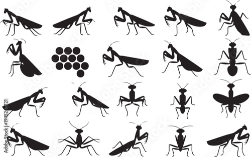 Collection of praying mantis silhouettes in various poses isolated design elements