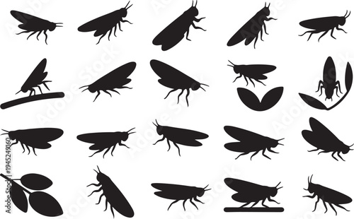 Collection of various cockroach silhouettes and leaf outlines isolated design elements