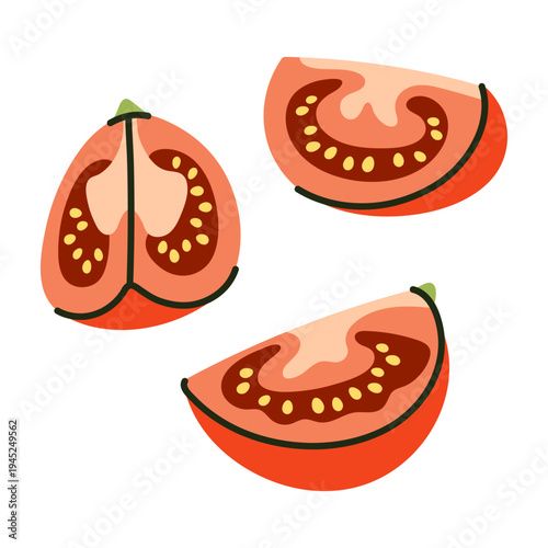 Three Fresh Red Tomato Slices and Wedges with Seeds isolated on white background vector