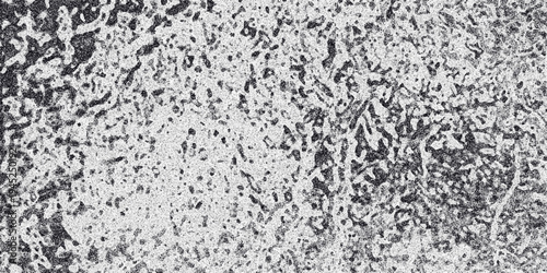Close-up monochrome textured background with irregular speckled patterns and rough surfaces creating a detailed abstract visual