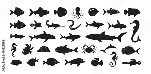 Marine life silhouettes set featuring tropical fish seahorses sharks and underwater nature shapes