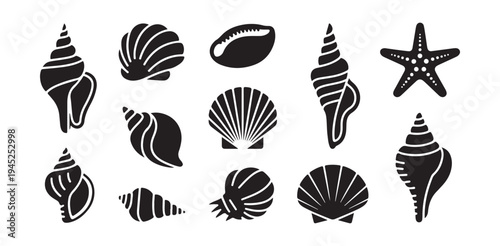 Seashells starfish cowrie conch scallops aquatic mollusk collection silhouette symbols