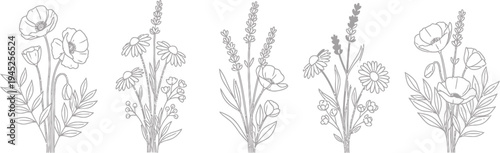Elegant Line Art Floral Bouquets with Poppies, Daisies, and Lavender Collection